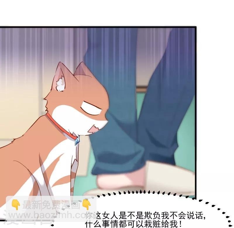 第51话 我要这只猫去死