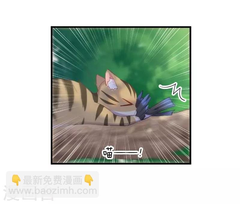 第55话 我要摔死了