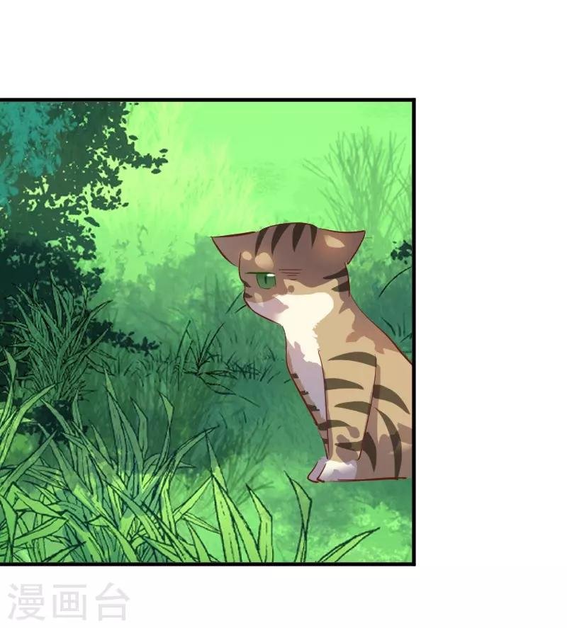 第61话 被发现是猫了
