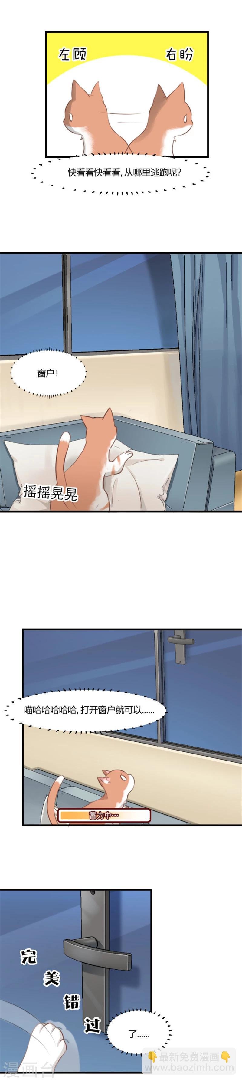 第6话 成功引起我的注意
