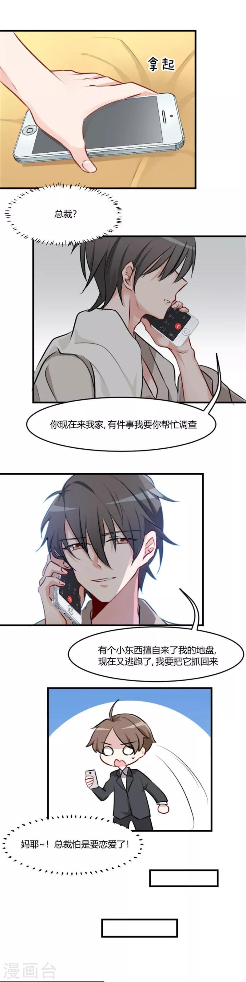第7话 这猫好帅