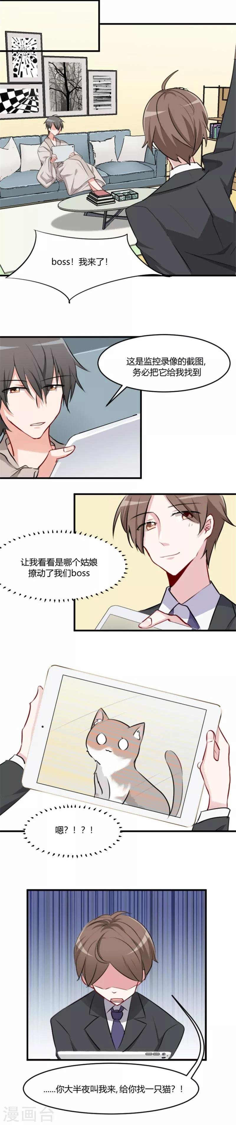 第7话 这猫好帅