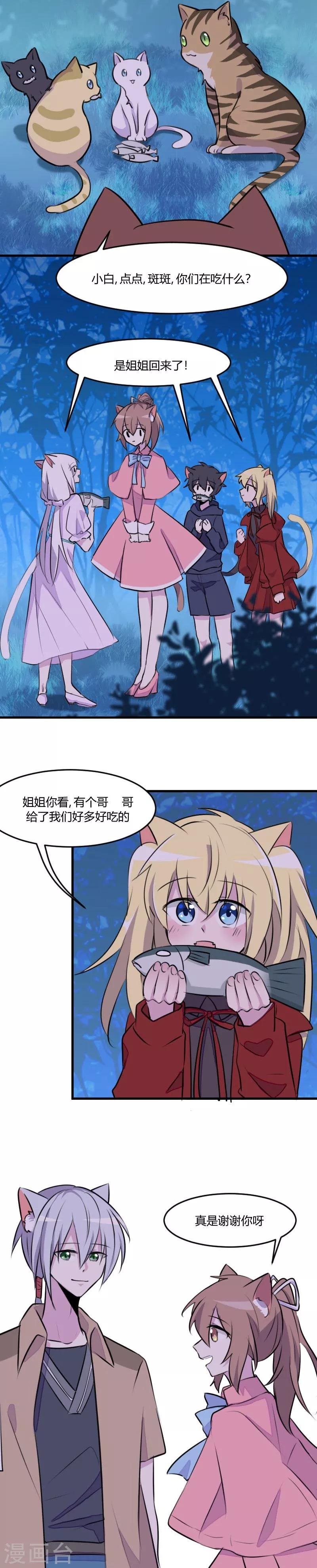 第7话 这猫好帅