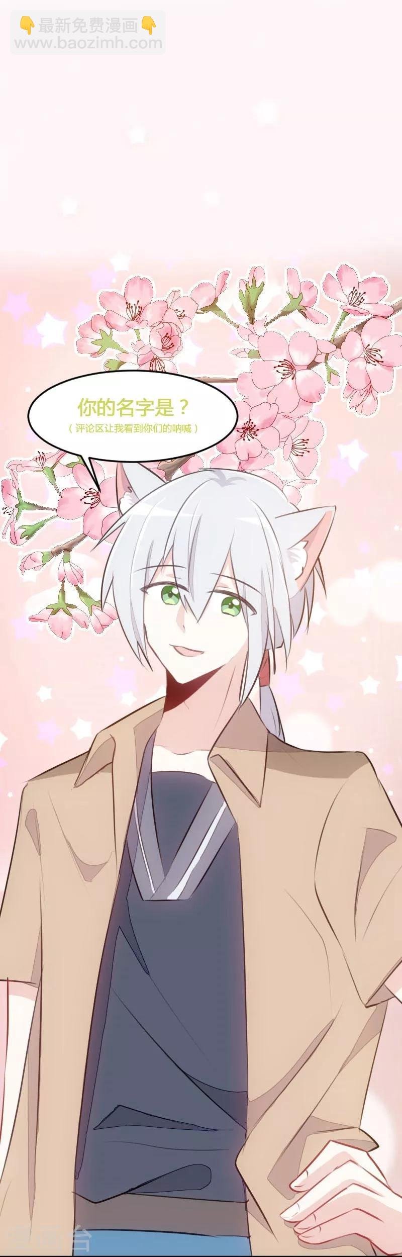 第7话 这猫好帅