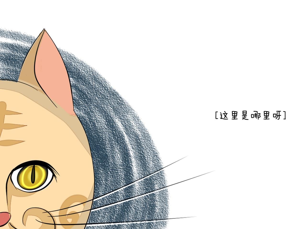 全一话