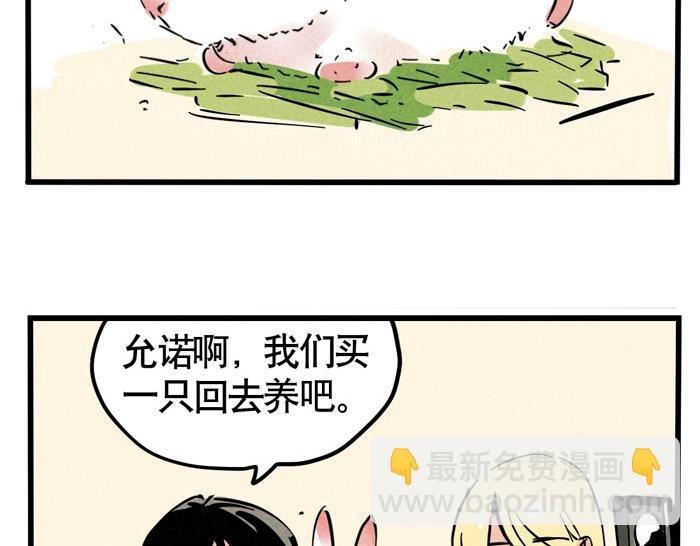 第49话 我要养兔子