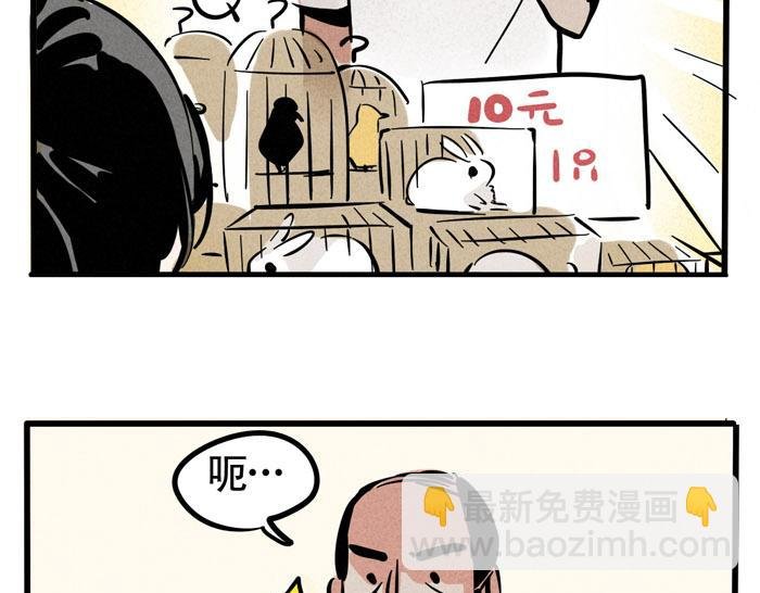 第49话 我要养兔子