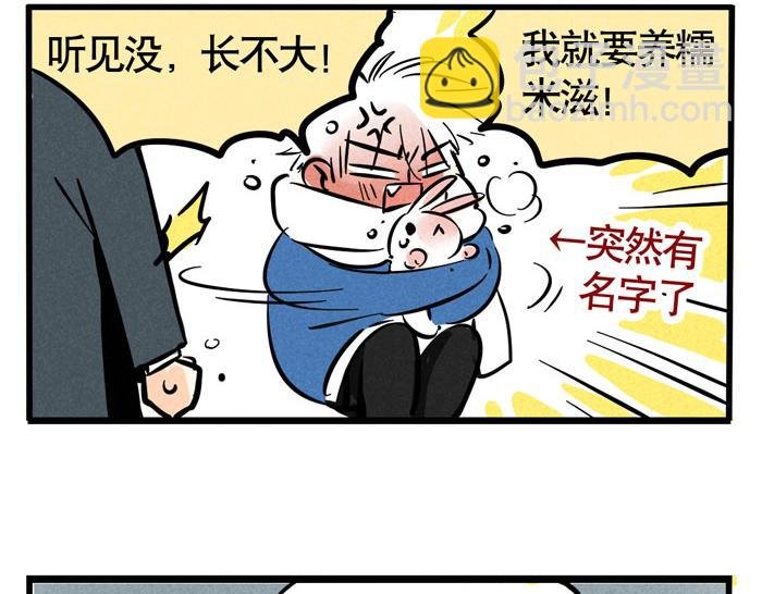第49话 我要养兔子