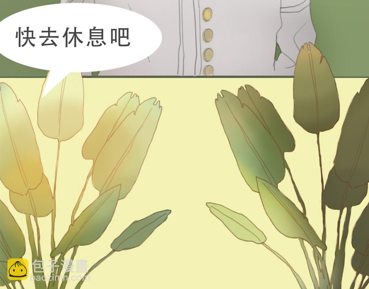 人鱼的诅咒
