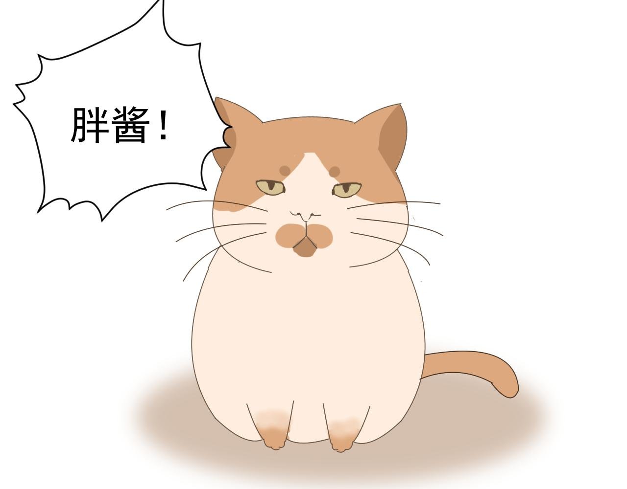 特殊的一天