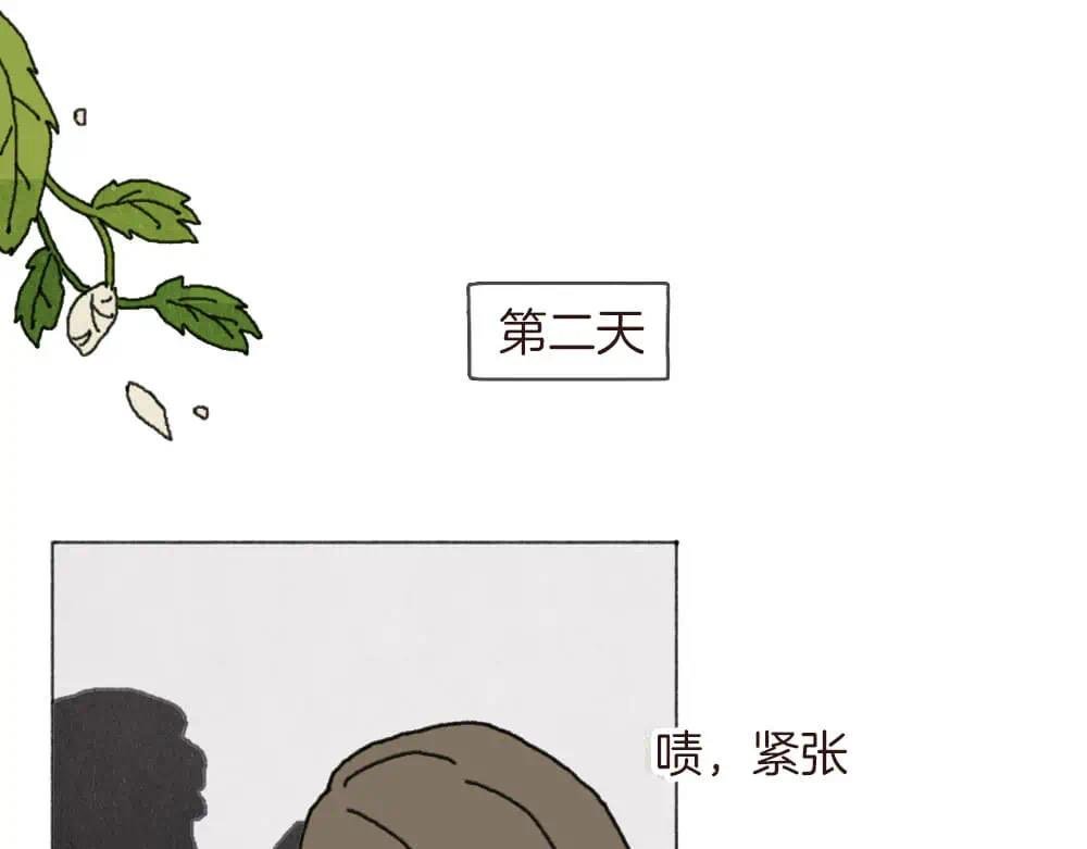 选择性记忆