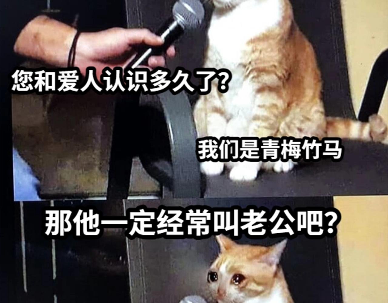 第37期 人鱼主角们开启5G冲浪，烂梗合集（日更中）
