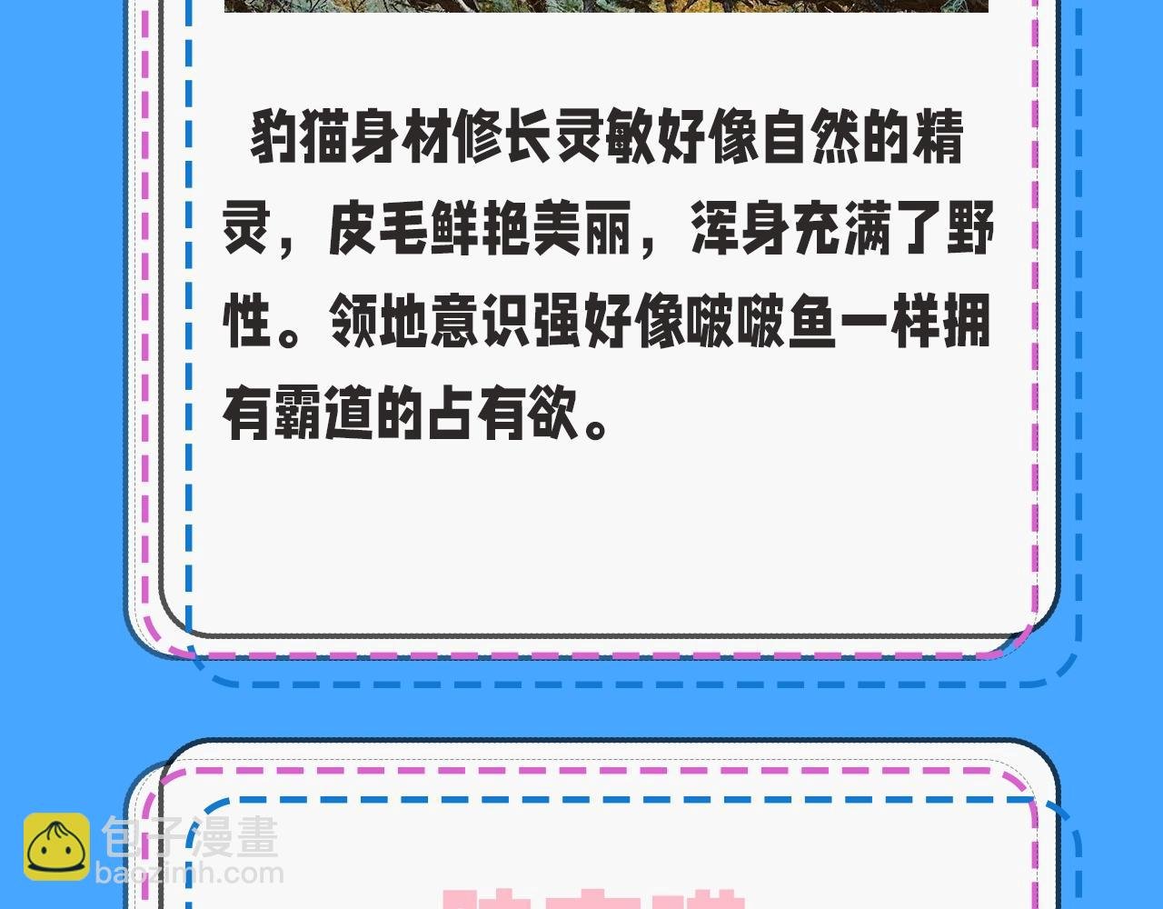 第43期 人鱼陷落的主角都是什么品种的猫（日更中）