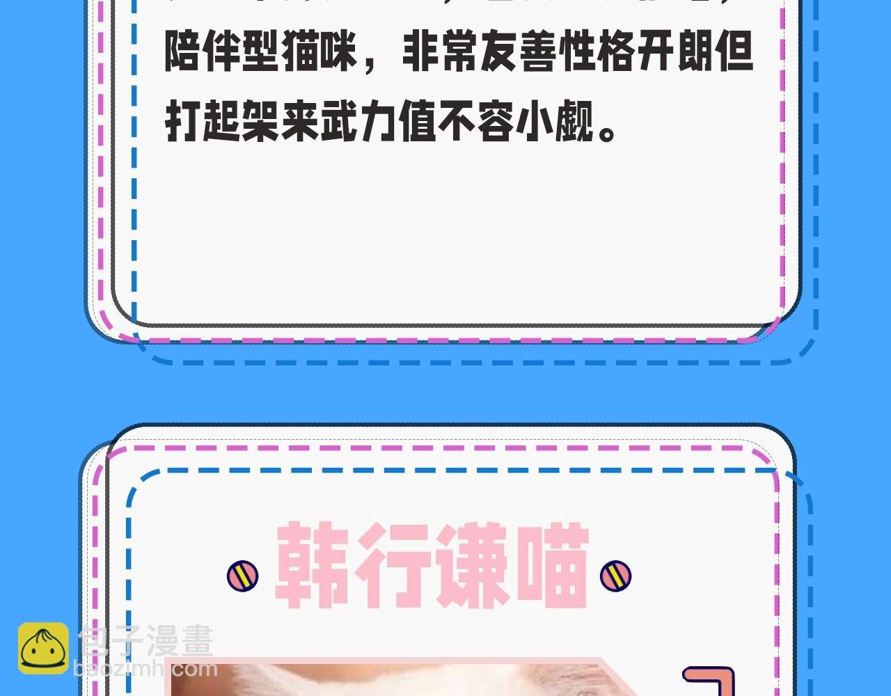 第43期 人鱼陷落的主角都是什么品种的猫（日更中）