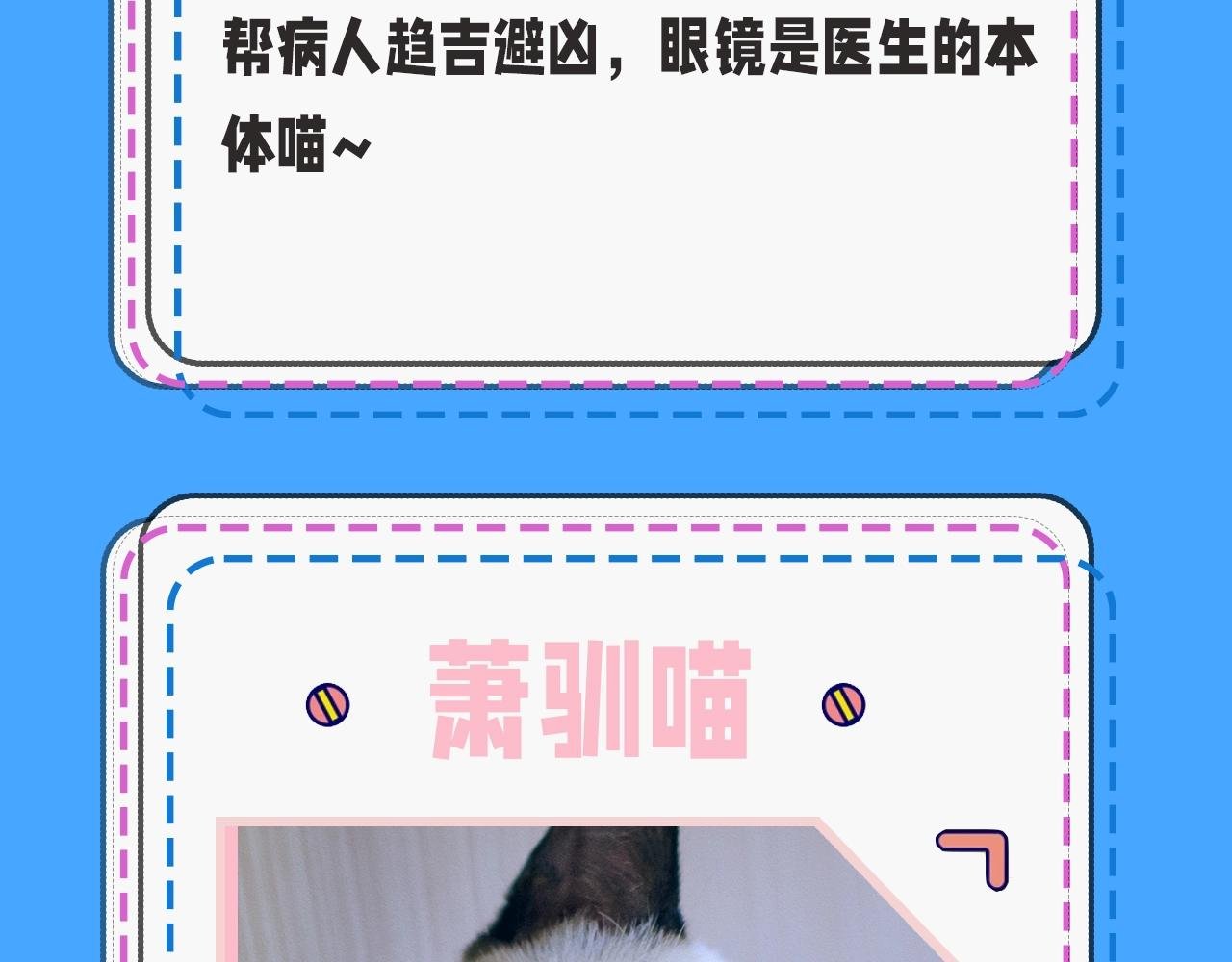 第43期 人鱼陷落的主角都是什么品种的猫（日更中）
