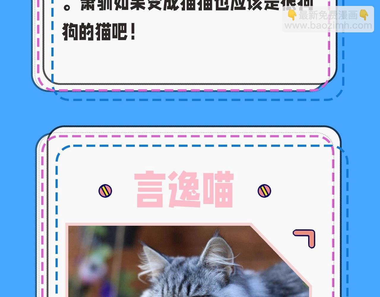 第43期 人鱼陷落的主角都是什么品种的猫（日更中）
