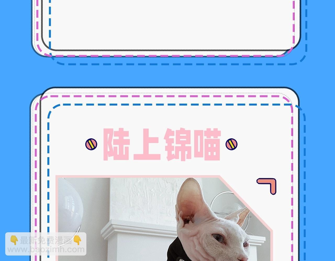 第43期 人鱼陷落的主角都是什么品种的猫（日更中）