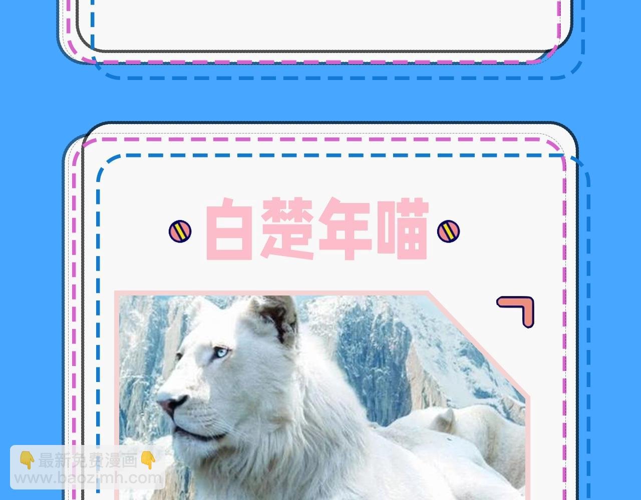 第43期 人鱼陷落的主角都是什么品种的猫（日更中）