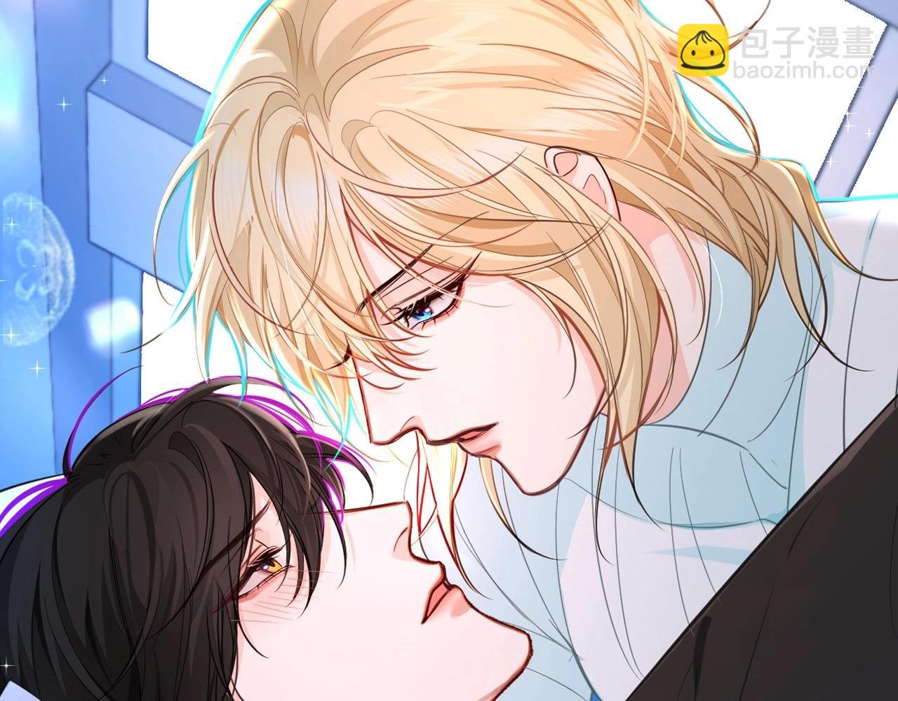 第43期 人鱼陷落的主角都是什么品种的猫（日更中）