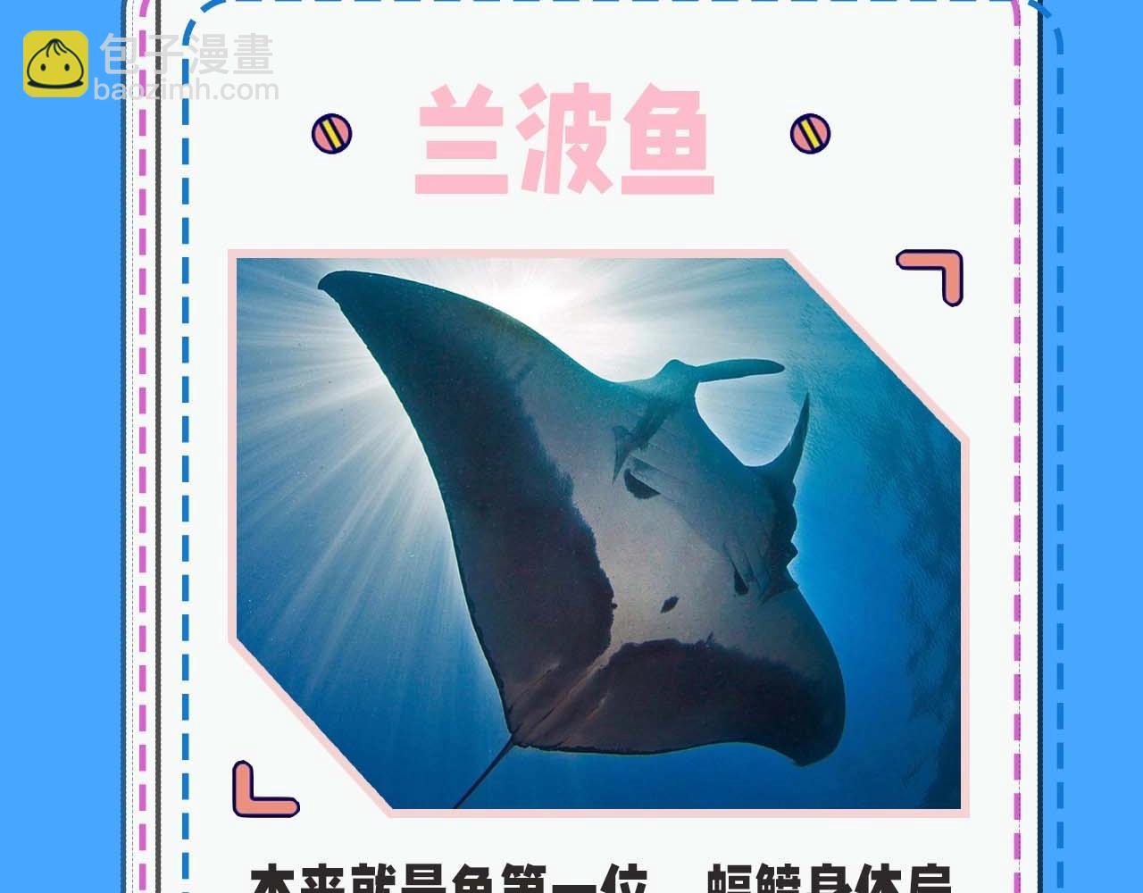 第52期 人鱼陷落的主角都是什么品种的鱼（日更中）
