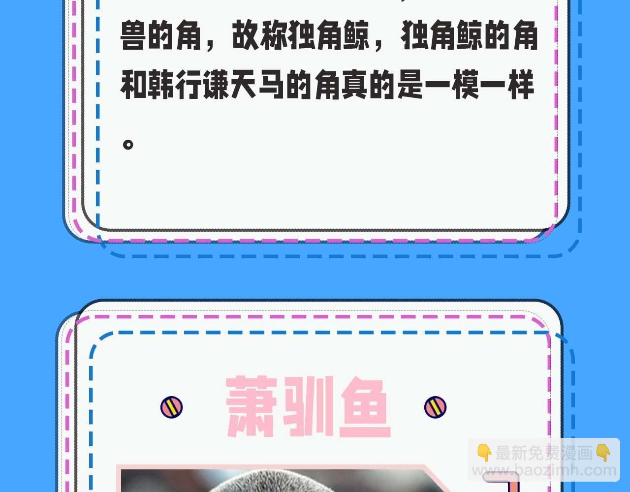 第52期 人鱼陷落的主角都是什么品种的鱼（日更中）