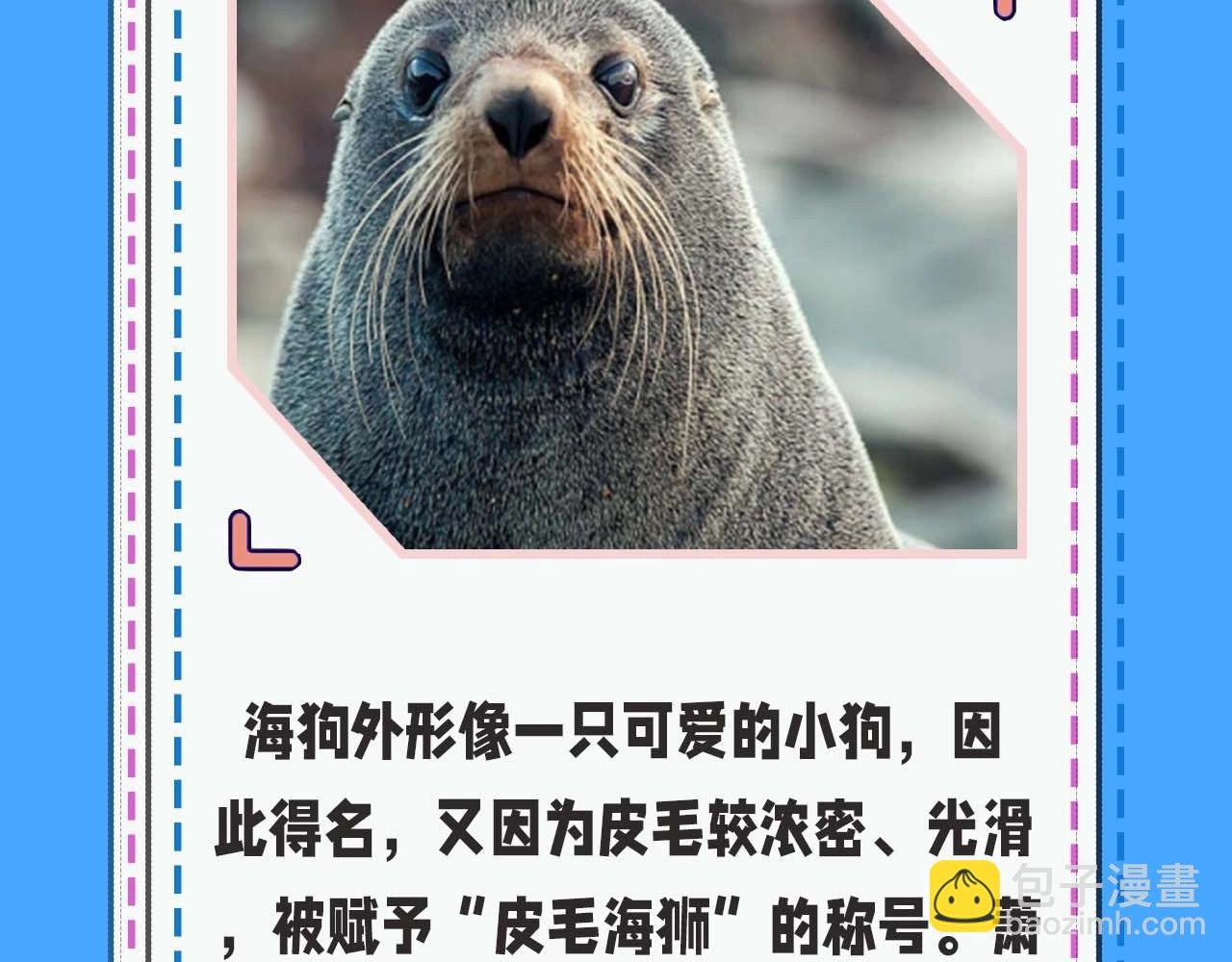 第52期 人鱼陷落的主角都是什么品种的鱼（日更中）