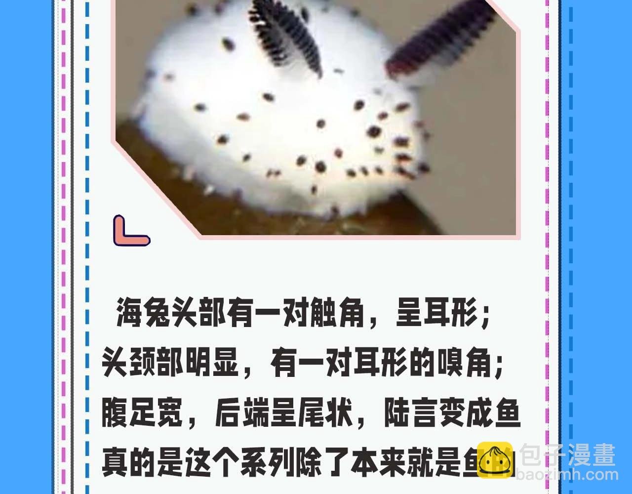 第52期 人鱼陷落的主角都是什么品种的鱼（日更中）