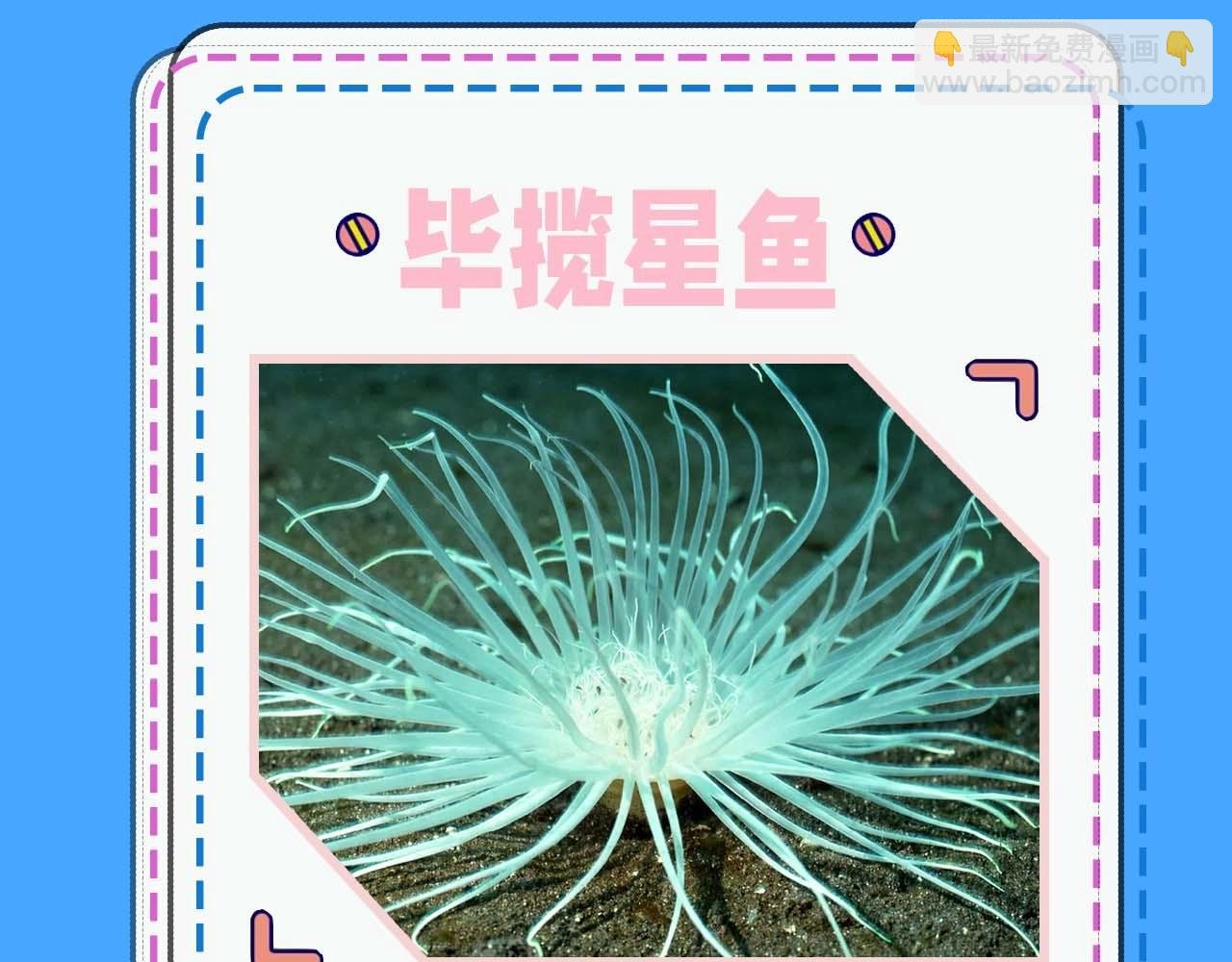 第52期 人鱼陷落的主角都是什么品种的鱼（日更中）