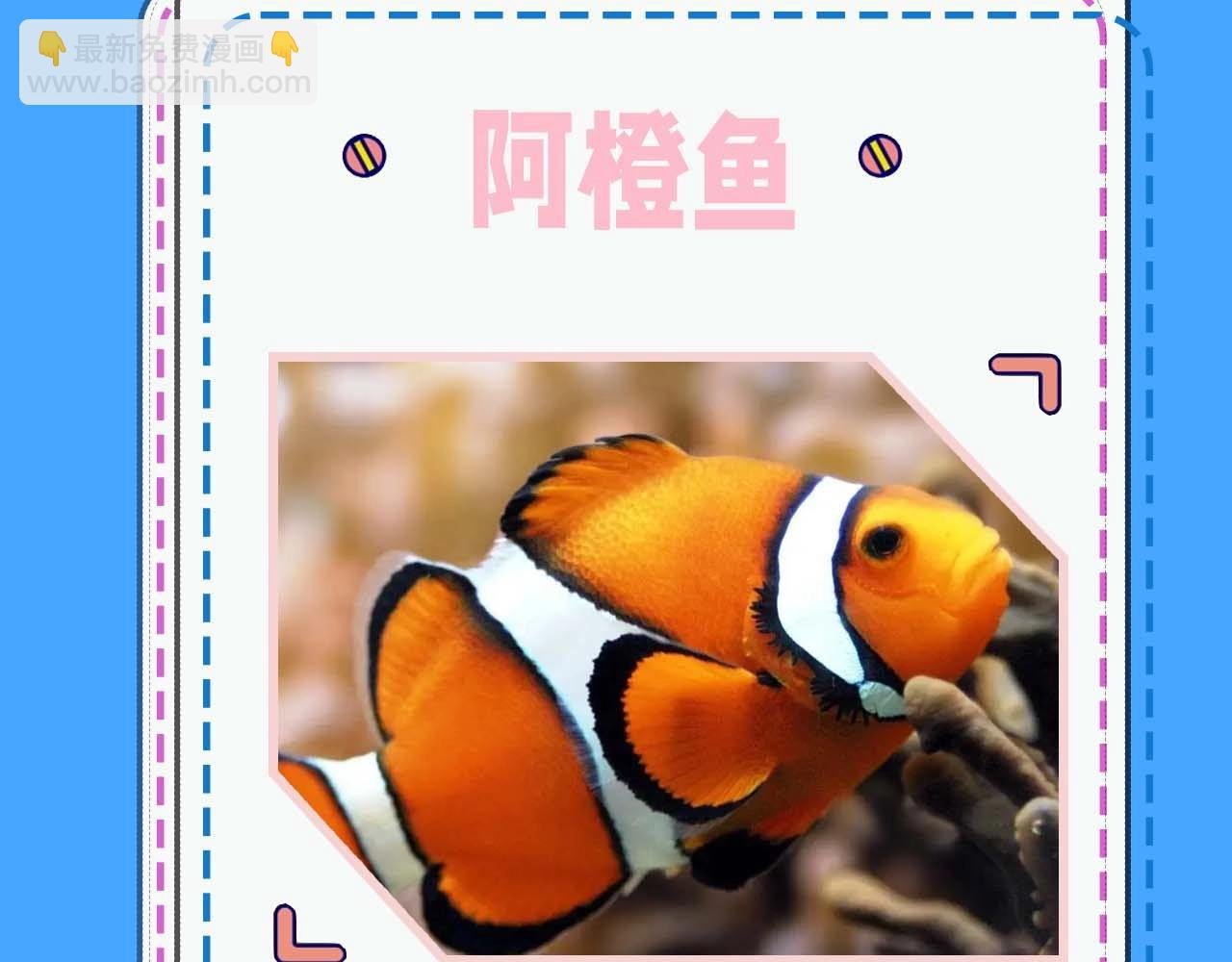 第52期 人鱼陷落的主角都是什么品种的鱼（日更中）