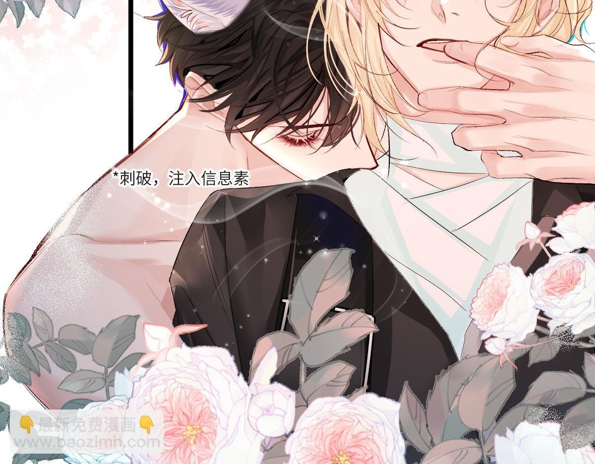 第28话 笨蛋鱼子，等着我