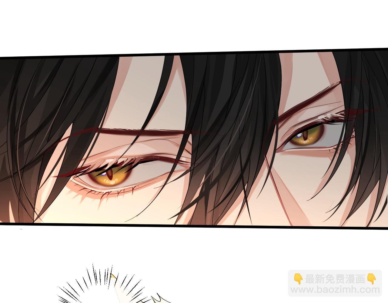第41话 小猫咪，想我了吗？