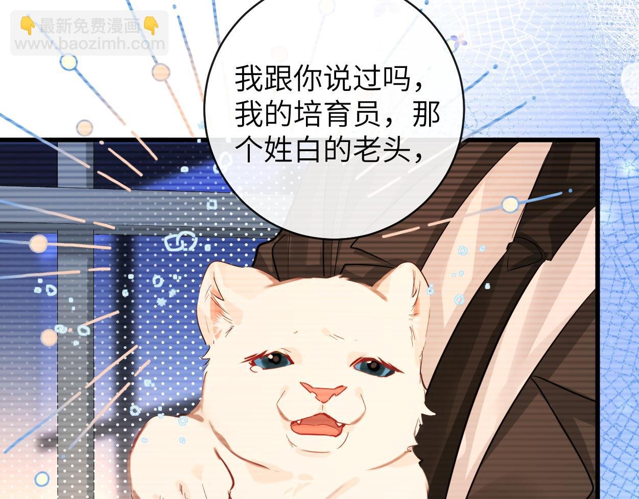 第54话 抉择