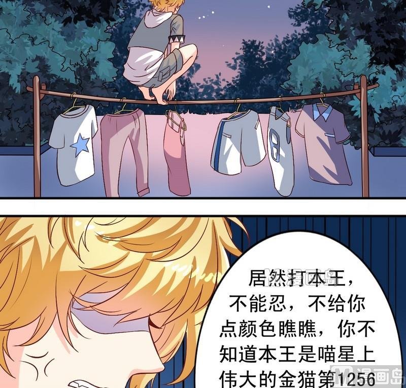 第11话 王喵要报复