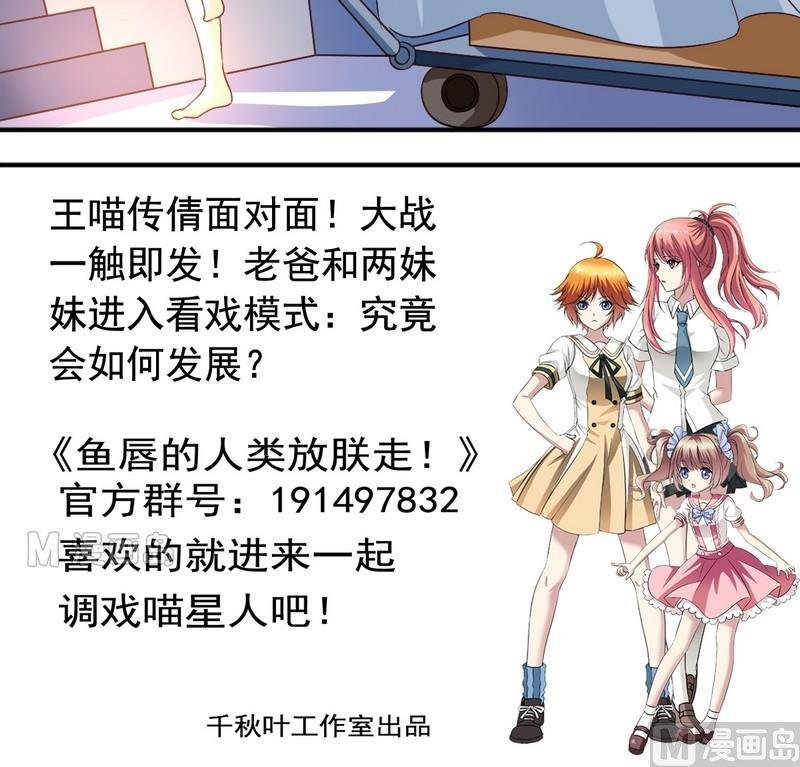 第11话 王喵要报复