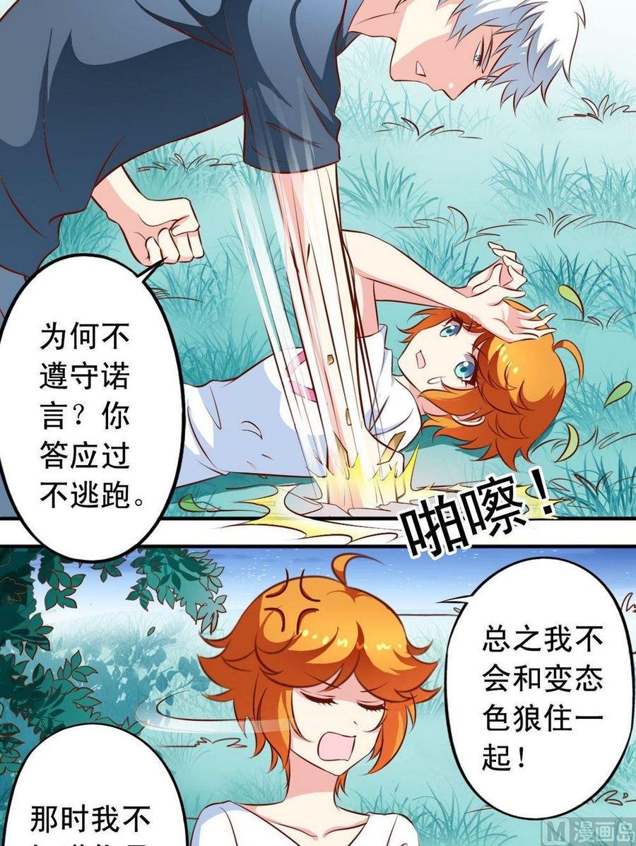 番外3：兽化问题
