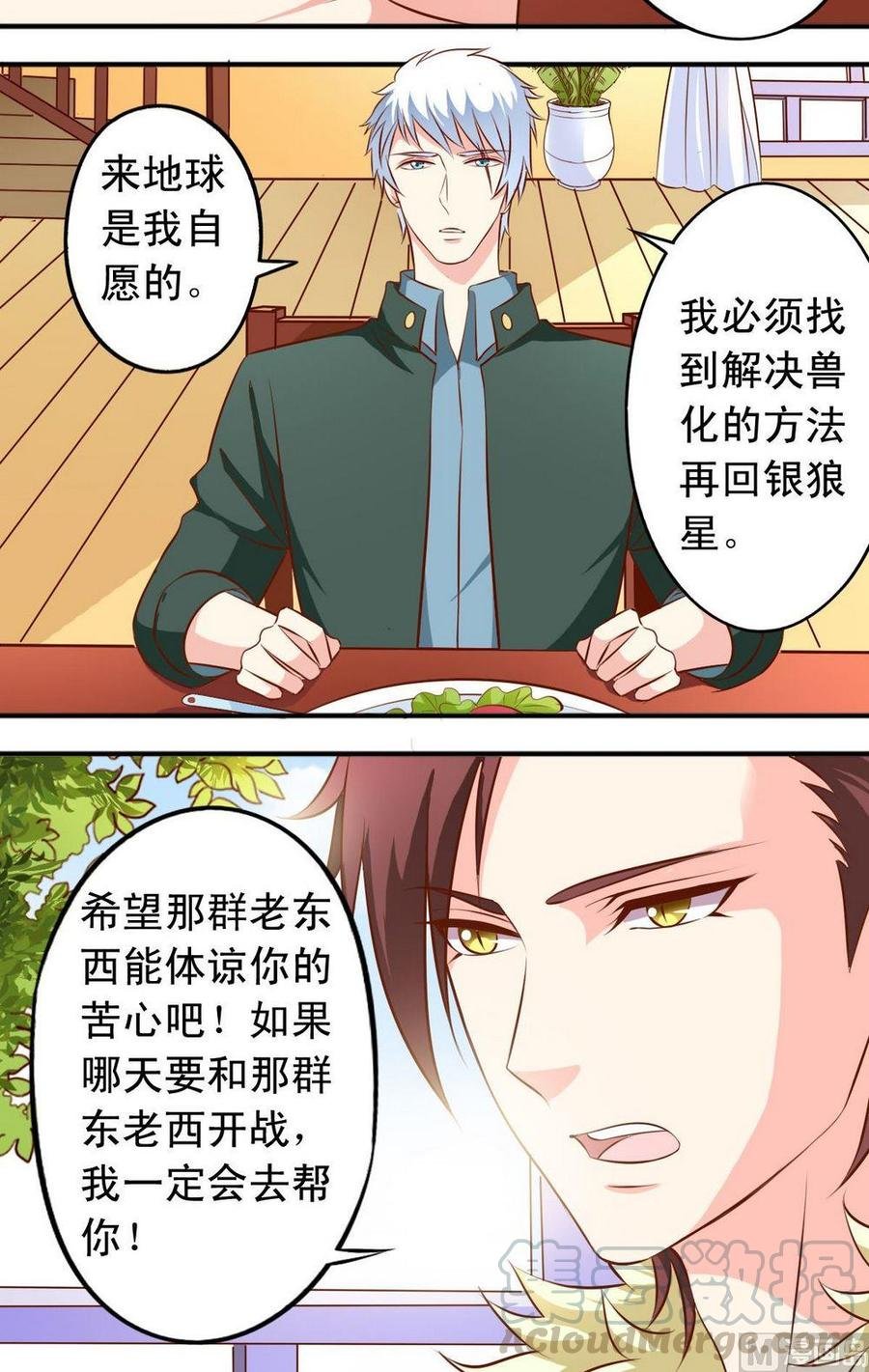 番外3：兽化问题