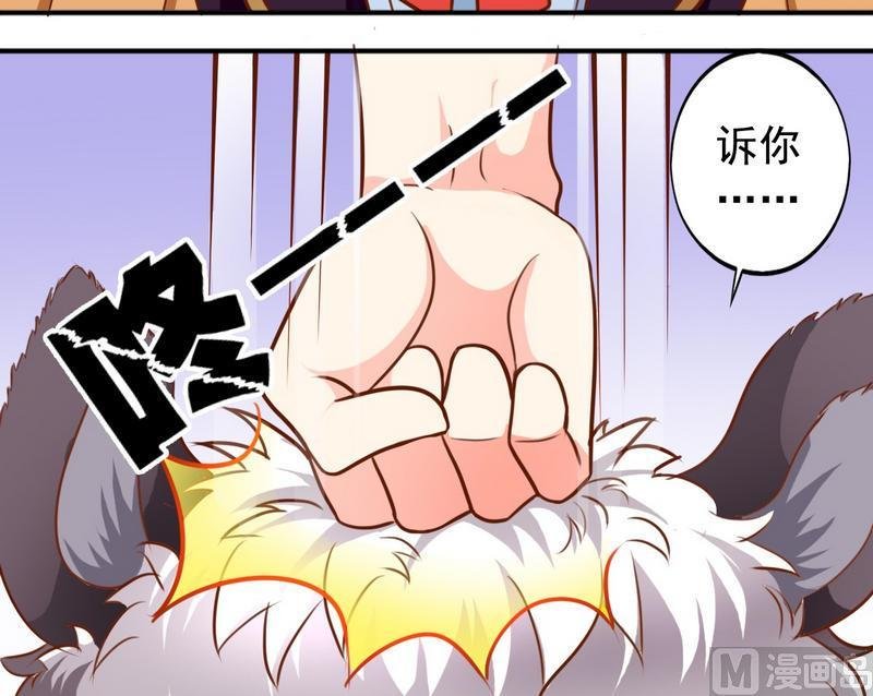 第31话 最珍贵的