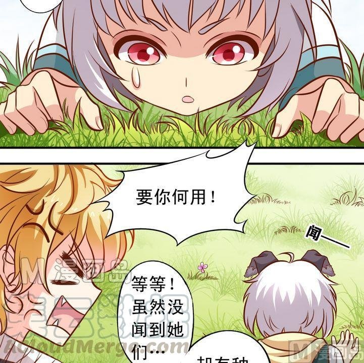 第55话 长得一样