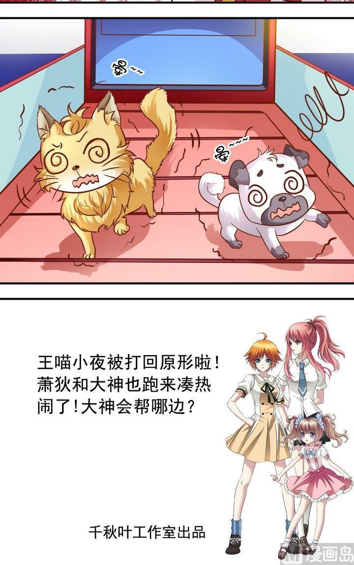 第60话 变成动物
