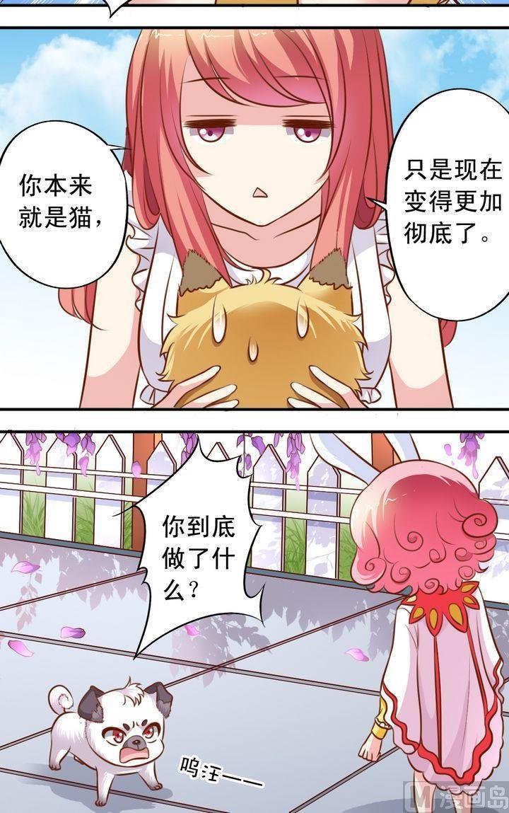 第61回 萧狄来了