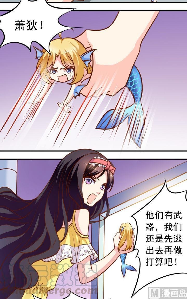 第61回 萧狄来了
