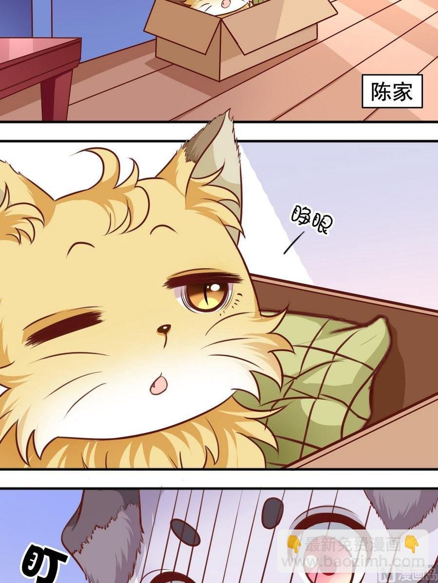 第70话 一见钟情