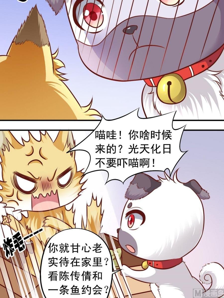 第70话 一见钟情