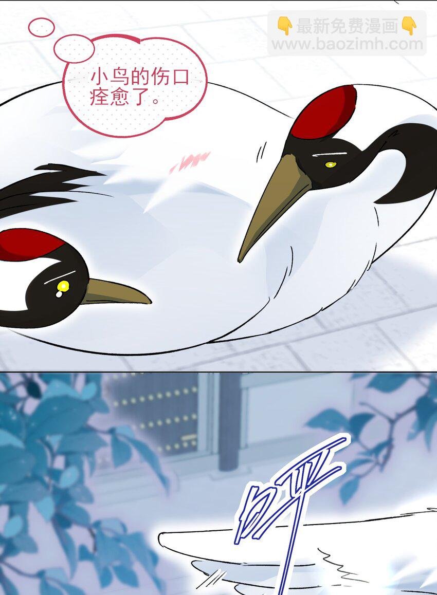 113 似曾相识