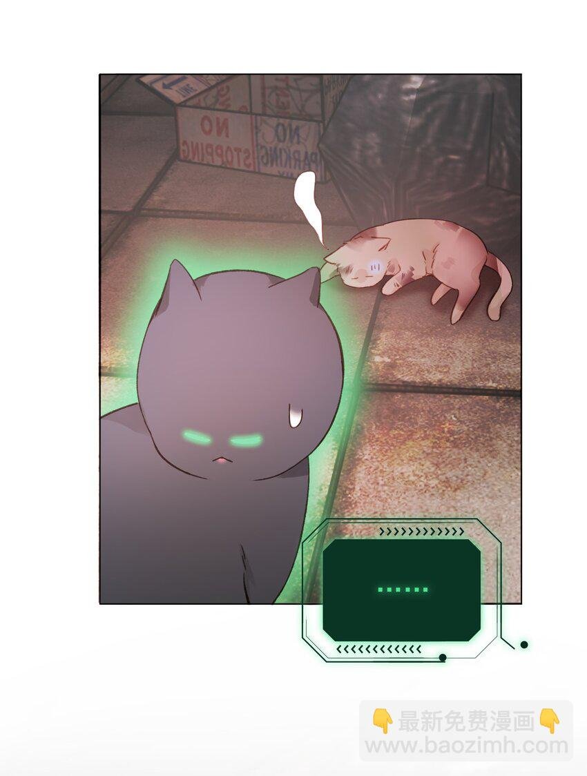 065 我是替身吗？