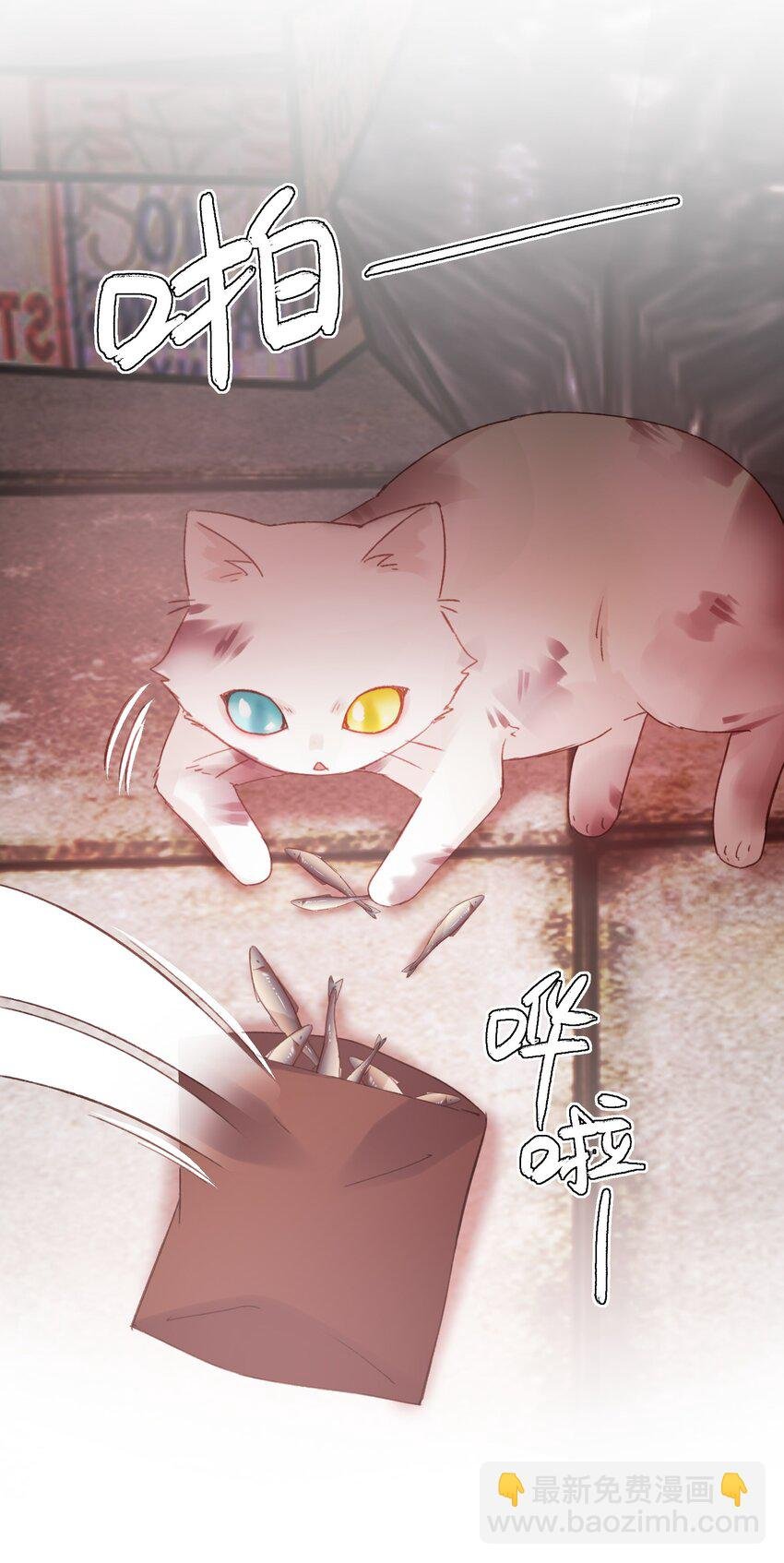 065 我是替身吗？