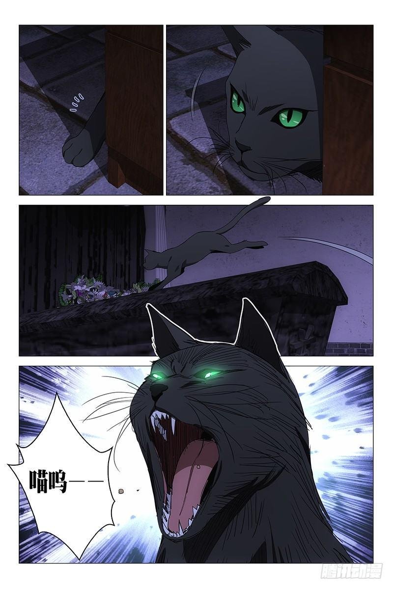 086猫面人 四