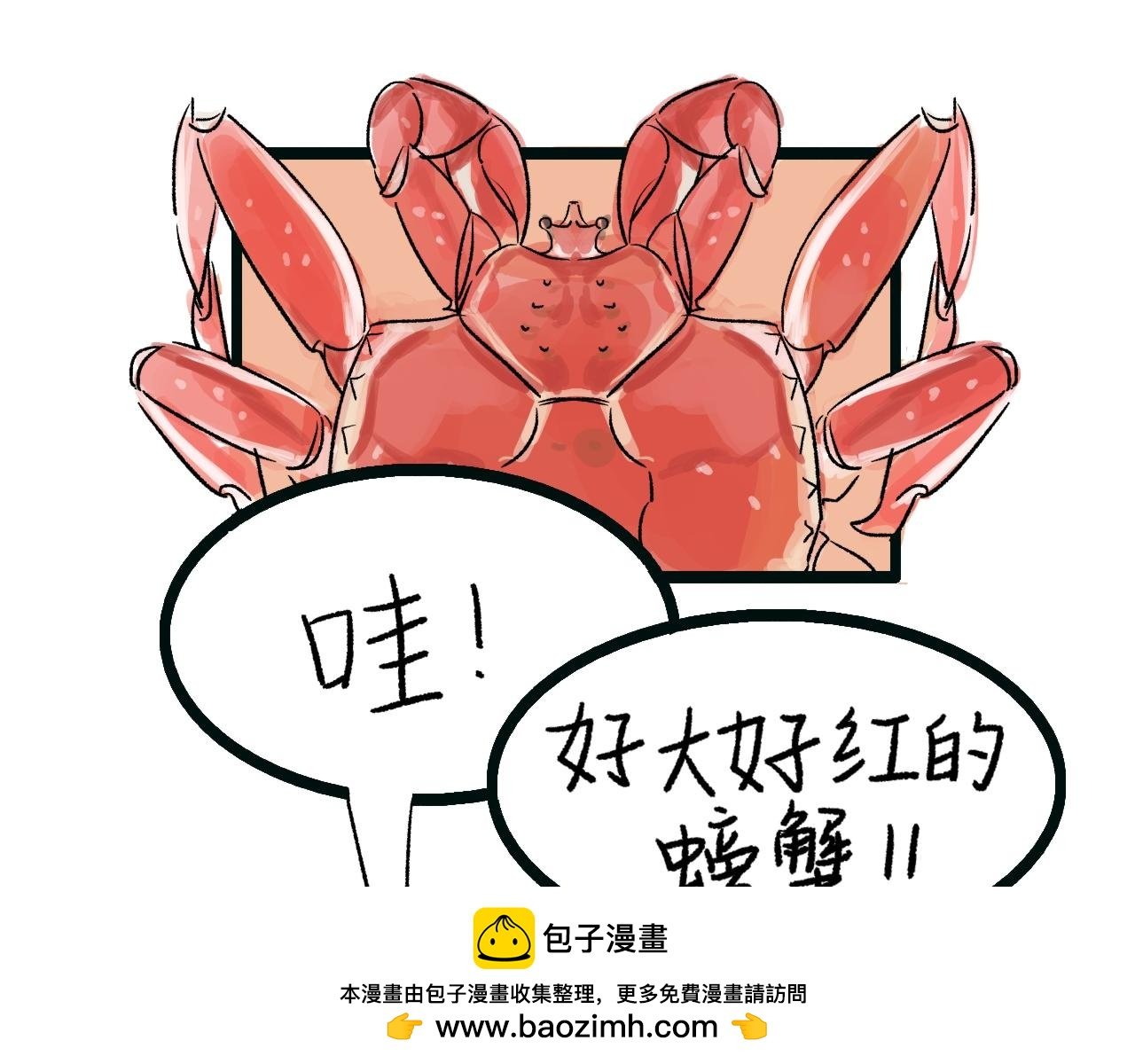 银发旅行团