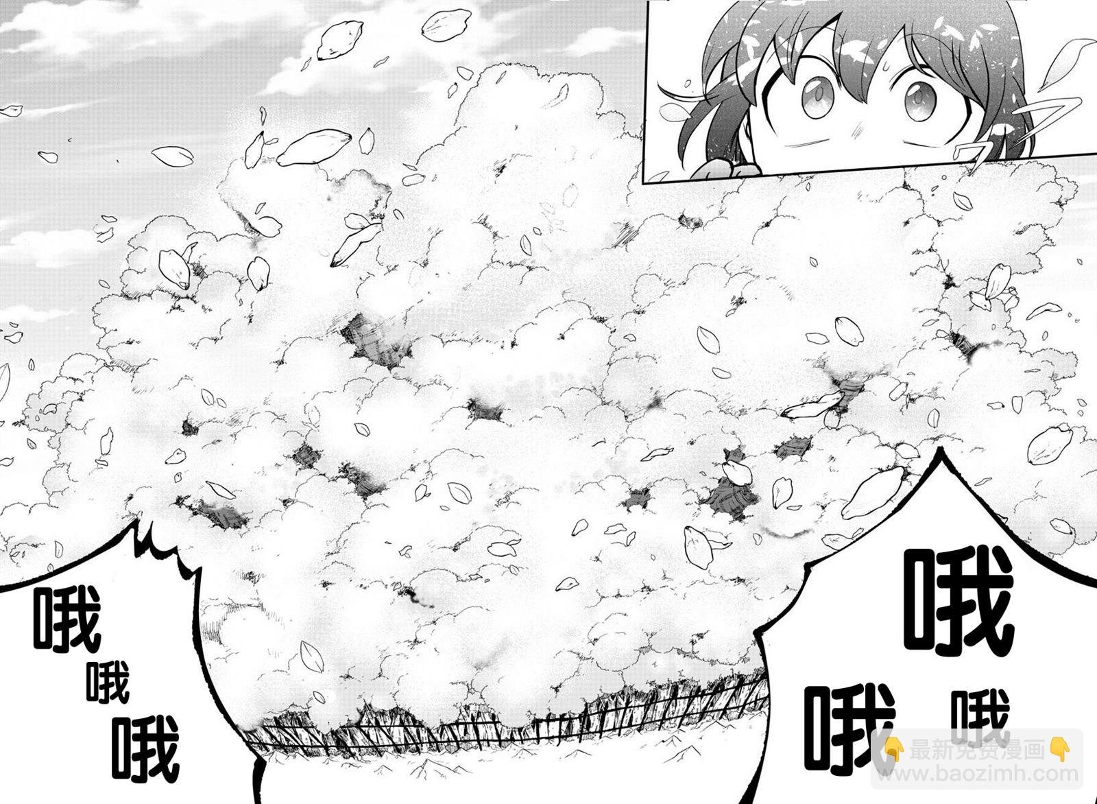 第138话 开花的条件