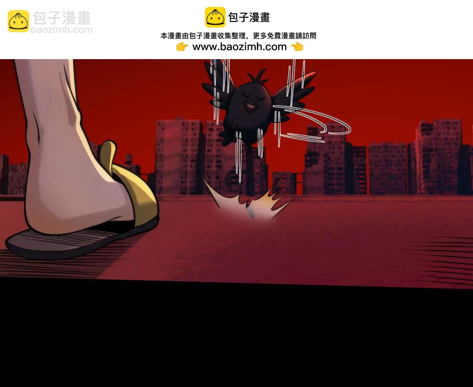 遛鸟